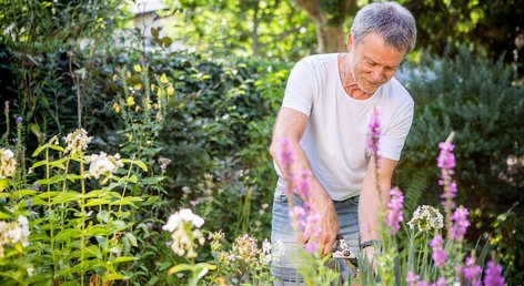 Gartenarbeit trotz Knieschmerzen