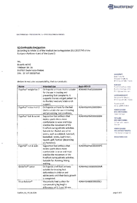 Conformity declaration - foot orthoses