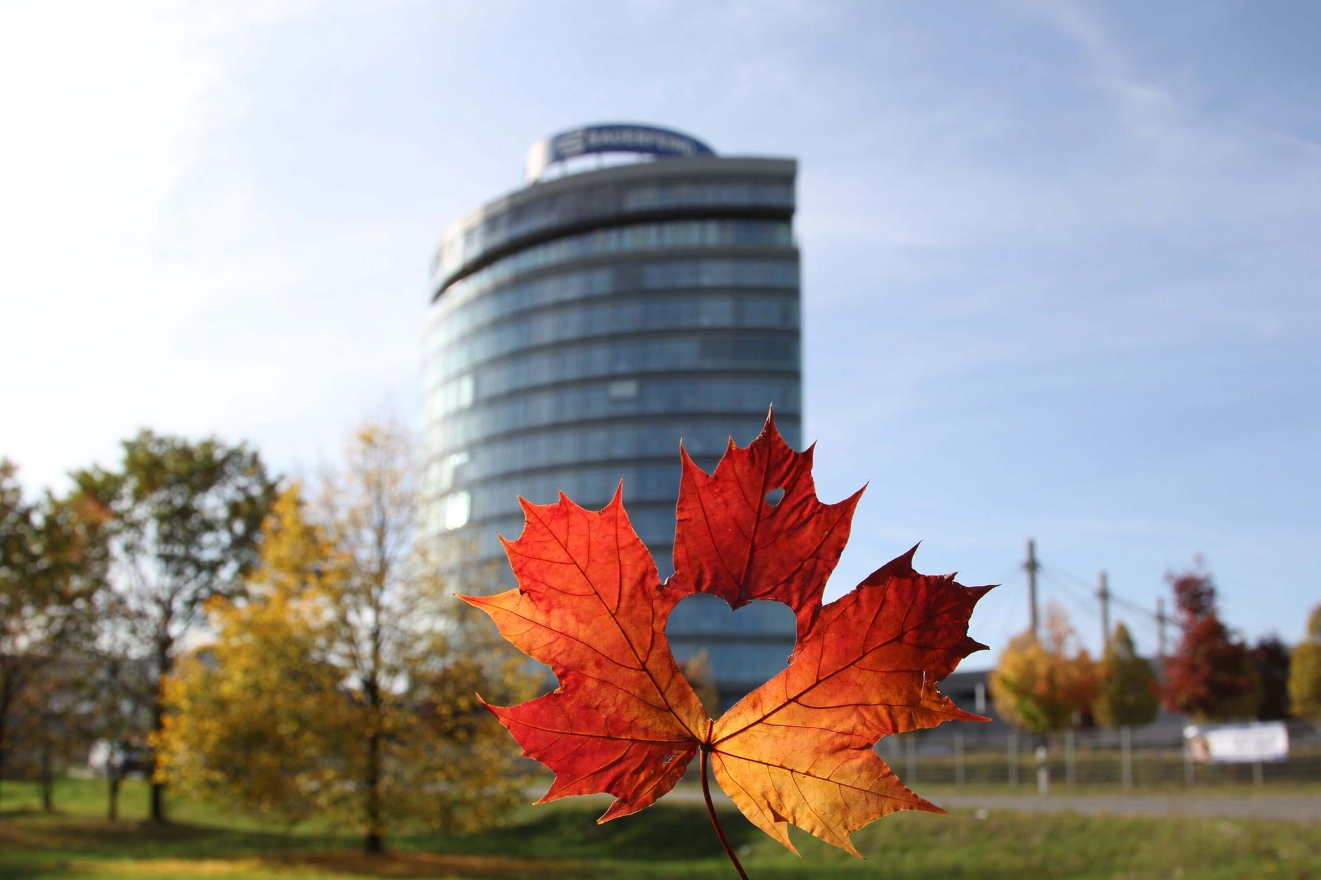 Herbstliches Ahornblatt mit Herzform-Ausschnitt in der Mitte, im Vordergrund scharf fokussiert, im Hintergrund ein modernes, rundes Bürogebäude mit Glasfassade und herbstlich gefärbte Bäume.