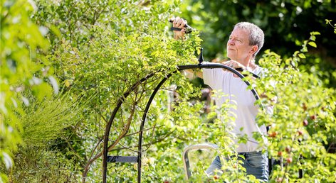 Gartenarbeit trotz Knieschmerzen