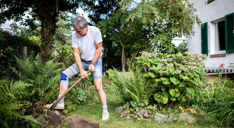 Gartenarbeit trotz Knieschmerzen