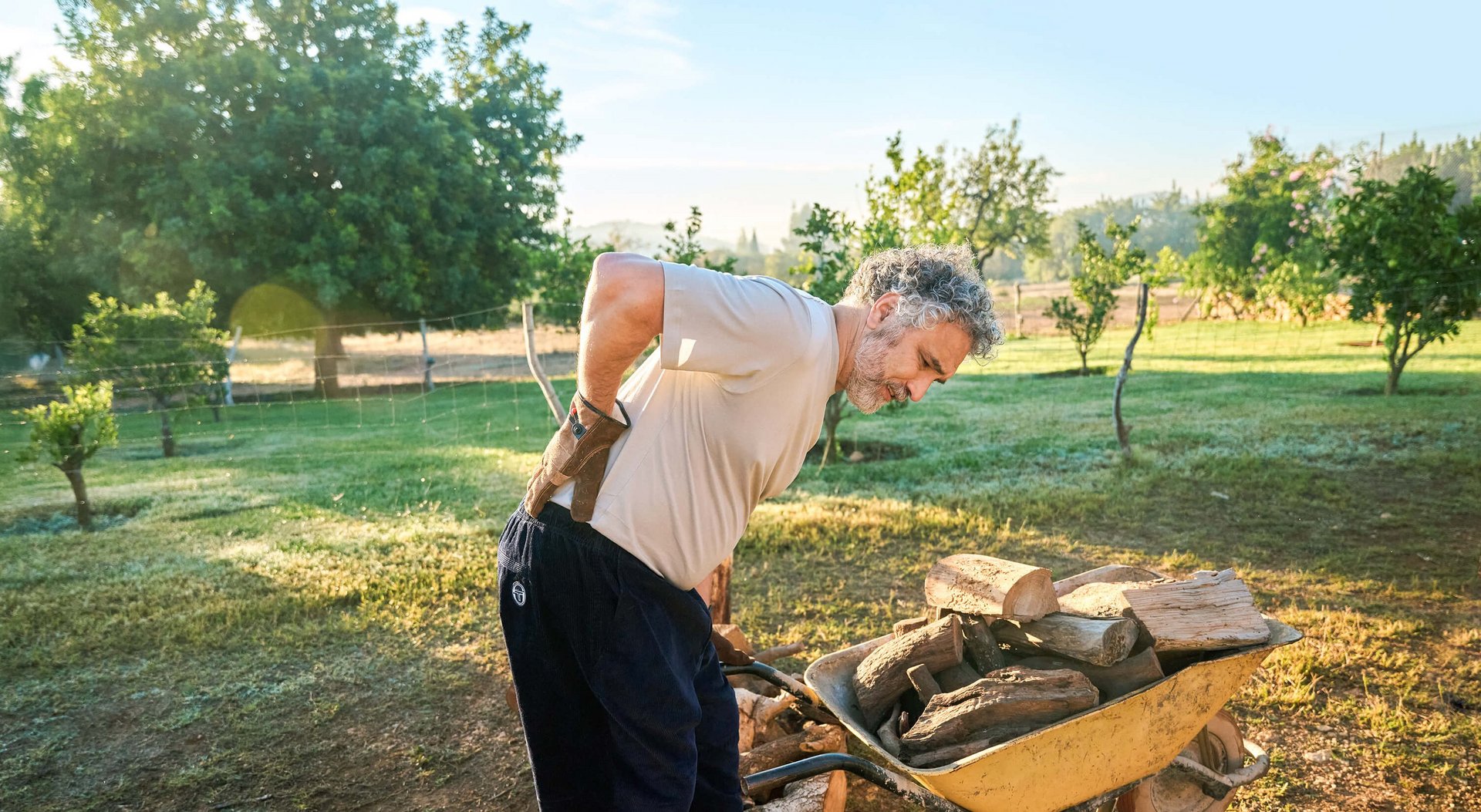 Ein älterer Mann mit grauen Haaren hält sich im Garten den schmerzenden Rücken, während er sich über eine Schubkarre mit Holzscheiten beugt. Im Hintergrund sind grüne Bäume und ein ländlicher Garten zu sehen.