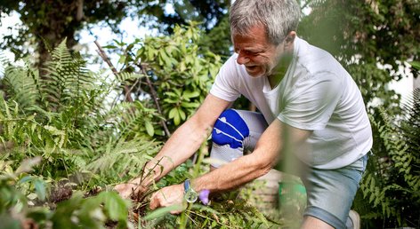Gartenarbeit trotz Knieschmerzen