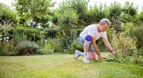 Gartenarbeit trotz Knieschmerzen